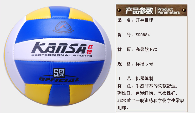 Ballon de volley - Ref 2012508 Image 6
