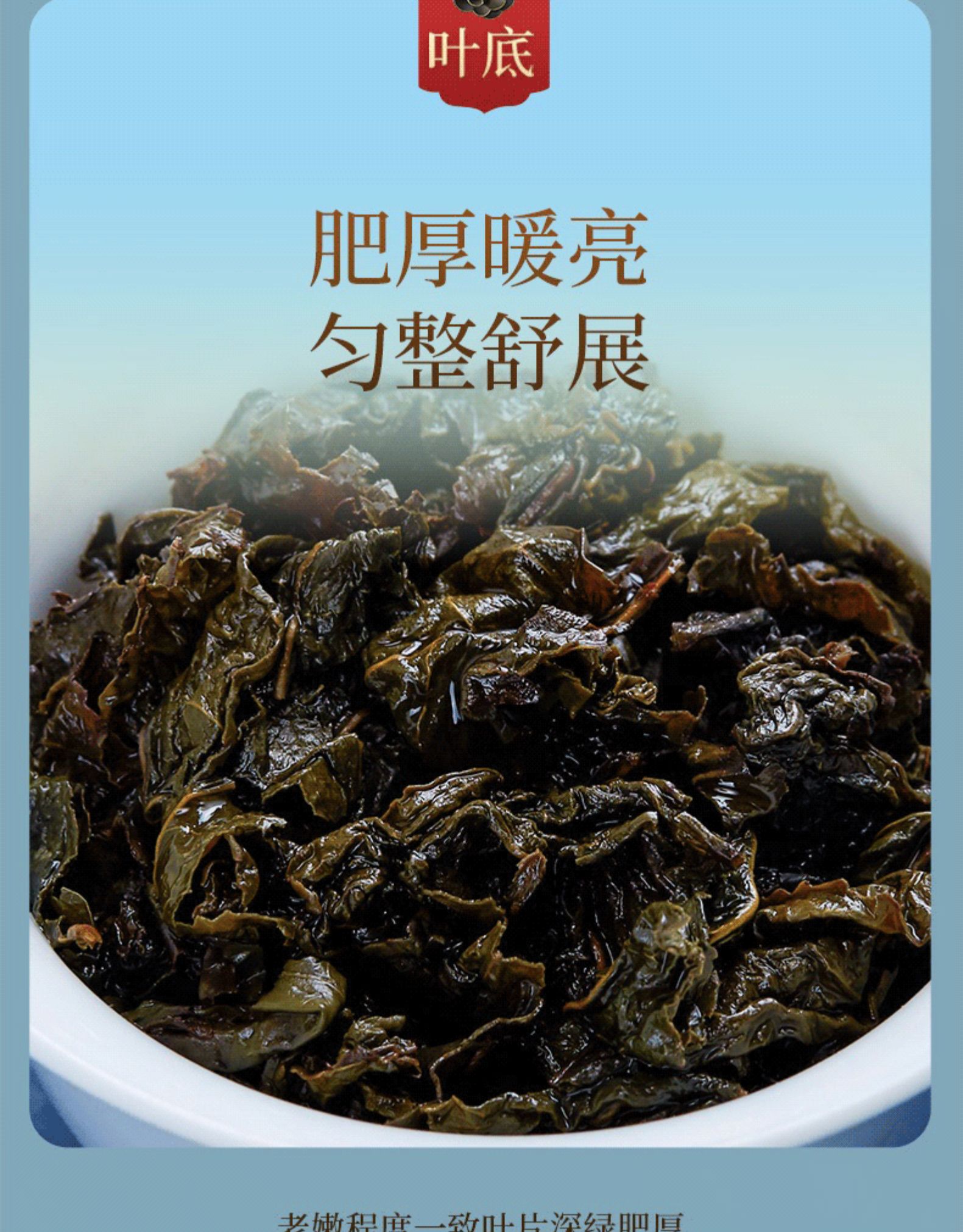 山国饮艺 一级安溪铁观音 80g/罐 图8