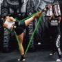 Taekwondo đấm bốc bóng rổ nảy huấn luyện viên chân kháng băng kéo dây thiết bị tập thể dục - Bóng rổ lưới bóng rổ nhựa	