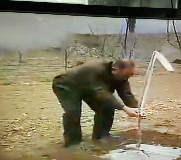 Graft bag grafting bagging tree seedling bagging standard complete following wood grafting insulated cup bagging sapling bagging