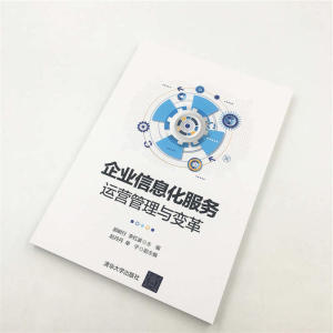 企业信息化服务运营管理与变革