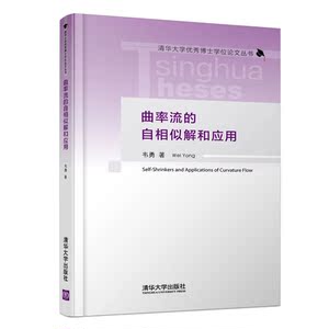 曲率流的自相似解和应用