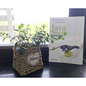 Java核心技术及面试指南