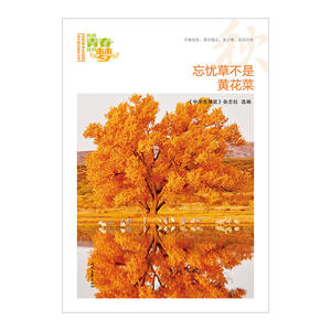 我的青春我的梦：（秋）忘忧草不是黄花菜（品读全国中学生校园作文精品，练就超强写作能力）