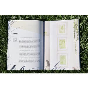 打造你的室内花园：30种植物创意微景观