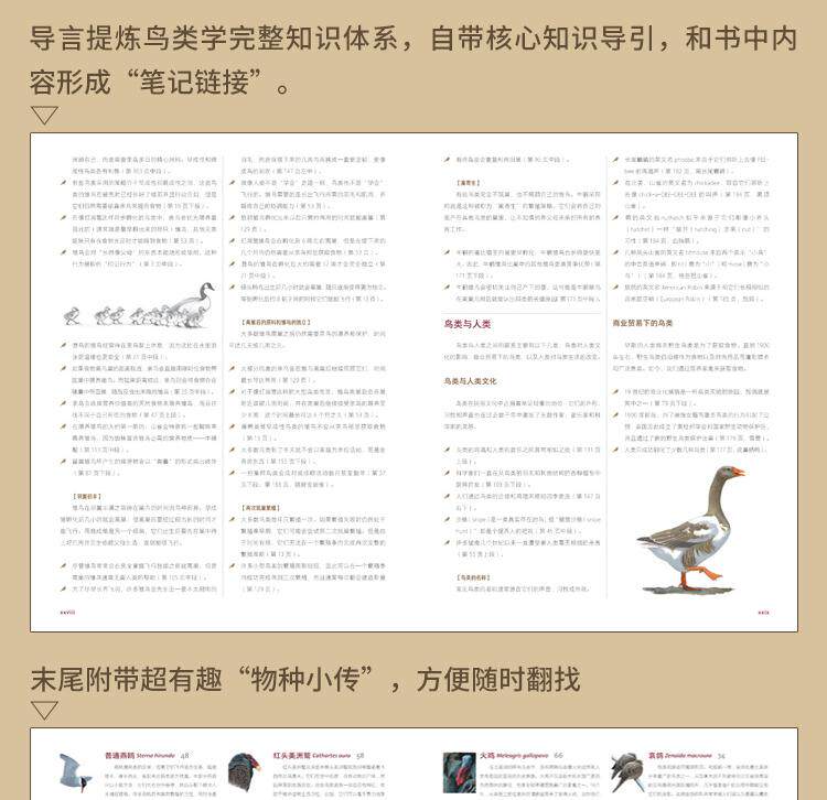 Птица 当当网 何以为鸟：西布利的鸟类世界 赠烫金印签2张大装裱画  观鸟手册鸟类常识入门鸟类辨别指南鸟类画册科普书籍 正版书籍
