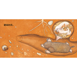 洞：松冈达英低幼绘本，《蹦》《哇》同类作品