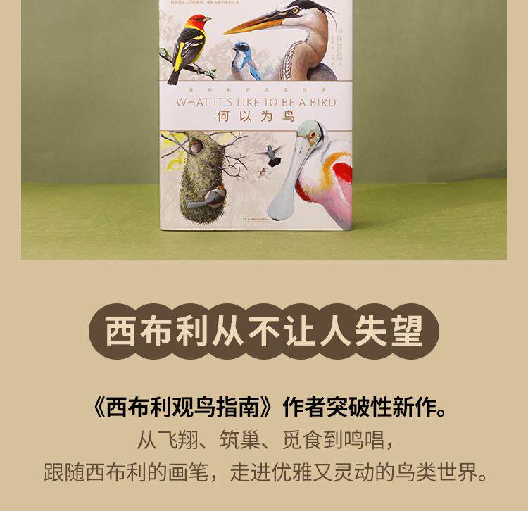 Птица 当当网 何以为鸟：西布利的鸟类世界 赠烫金印签2张大装裱画  观鸟手册鸟类常识入门鸟类辨别指南鸟类画册科普书籍 正版书籍