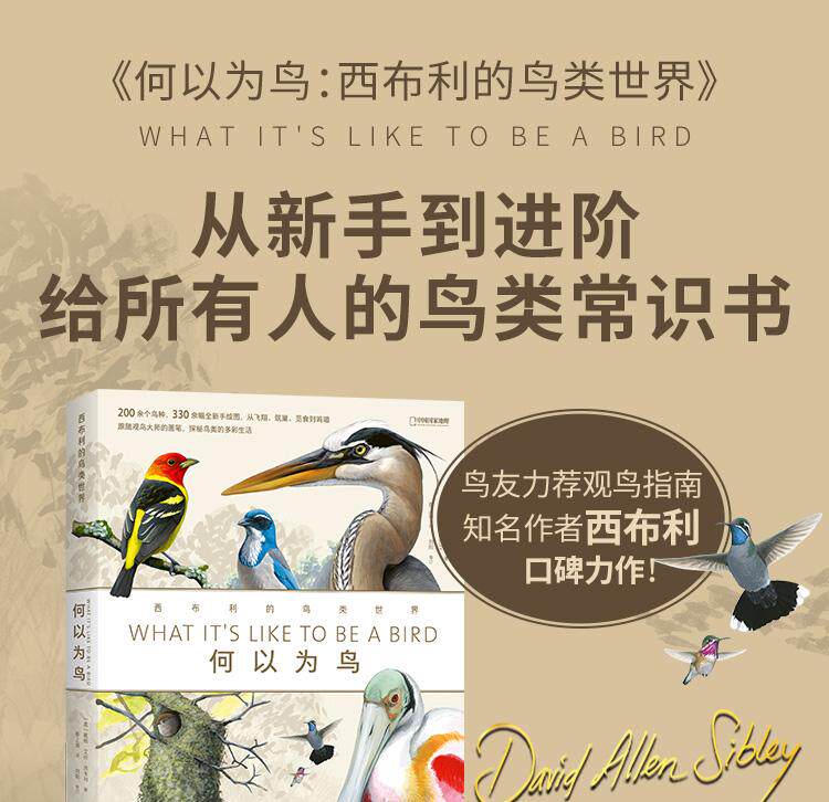 Птица 当当网 何以为鸟：西布利的鸟类世界 赠烫金印签2张大装裱画  观鸟手册鸟类常识入门鸟类辨别指南鸟类画册科普书籍 正版书籍