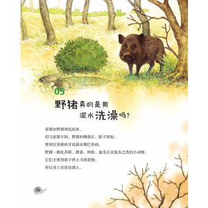5折身边的自然课2：水獭的家真的在水里吗