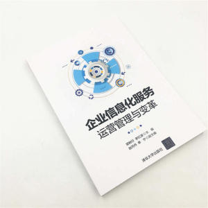 企业信息化服务运营管理与变革