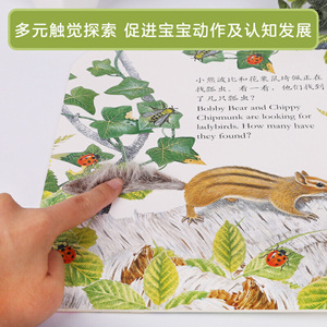 亮丽精美触摸书：小熊波比