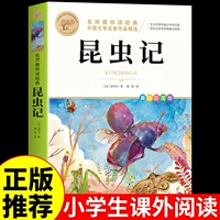 Дневник насекомых для 3, 4, 5 и 6 классов