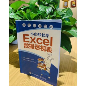小白轻松学Power BI数据分析