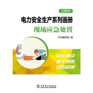 电力安全生产系列画册（口袋书） 现场应急处置