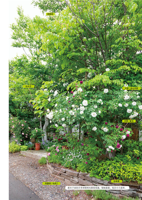 Садоводство книги None