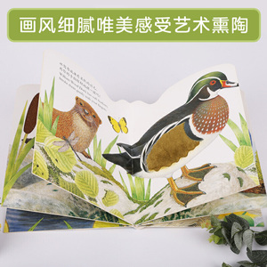 亮丽精美触摸书：小水獭奥斯卡