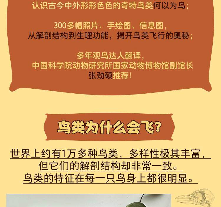 Птица 当当网 鸟类：一切为瞭飞行 观鸟爱好者鸟类学入门读物鸟类演化史中国鸟类观察鸟类观察宝典鸟类生物学自然科普书籍 正版书籍