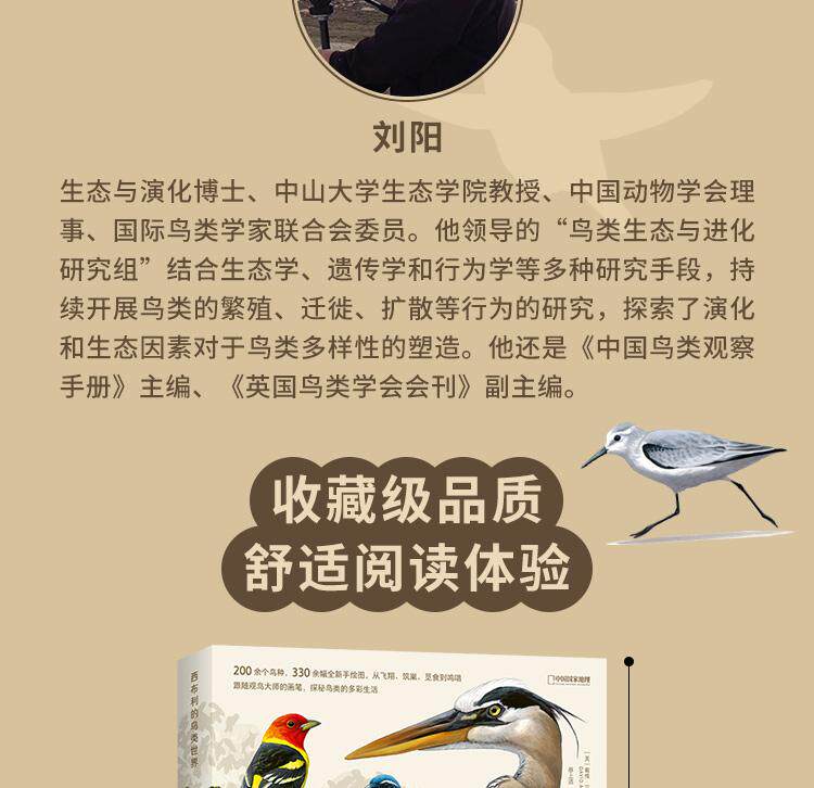 Птица 当当网 何以为鸟：西布利的鸟类世界 赠烫金印签2张大装裱画  观鸟手册鸟类常识入门鸟类辨别指南鸟类画册科普书籍 正版书籍