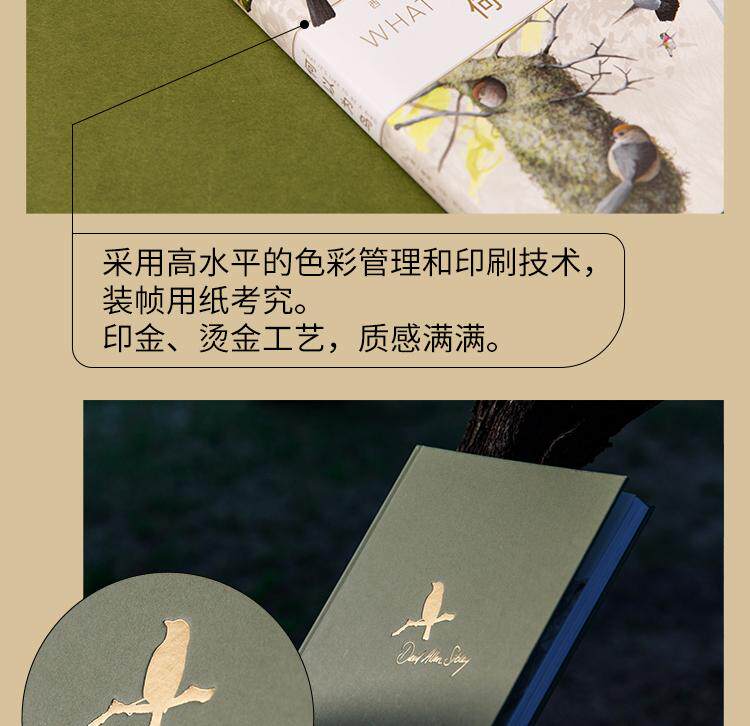 Птица 当当网 何以为鸟：西布利的鸟类世界 赠烫金印签2张大装裱画  观鸟手册鸟类常识入门鸟类辨别指南鸟类画册科普书籍 正版书籍