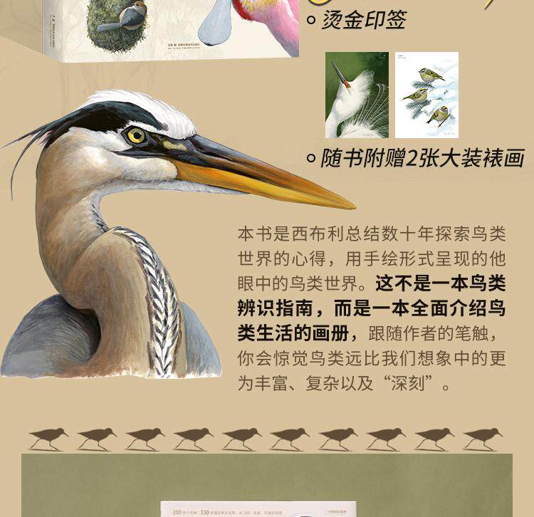 Птица 当当网 何以为鸟：西布利的鸟类世界 赠烫金印签2张大装裱画  观鸟手册鸟类常识入门鸟类辨别指南鸟类画册科普书籍 正版书籍