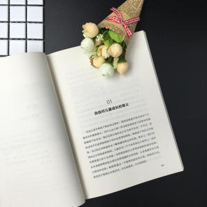 在生命深处与孩子相遇:如何重建与孩子的情感联结