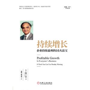 持续增长:企业持续盈利的10*宝