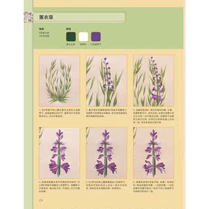 植物花卉一笔画技法