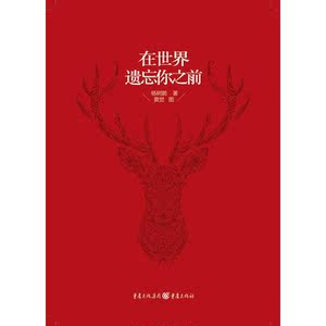 在世界遗忘你之前