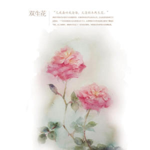 水彩花卉私享课（全彩）