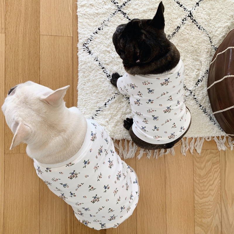 Original Design Pooch Pets Fardou Clothes Baggies Fat Dog Autumn Money for Bottom Jersey Spot