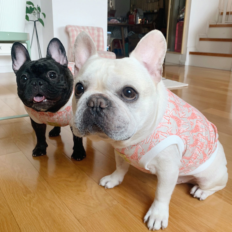 Original Design Pet Fadou Clothes Bago Fat Dog Summer Vest Giraffe Spot