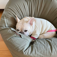 Оригинальный дизайн собака питомец блядьба одежда мопская толстая собачья рубашка бежевая ткань удобное место