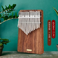 Hedgehog Rosewood [Слушайте море]