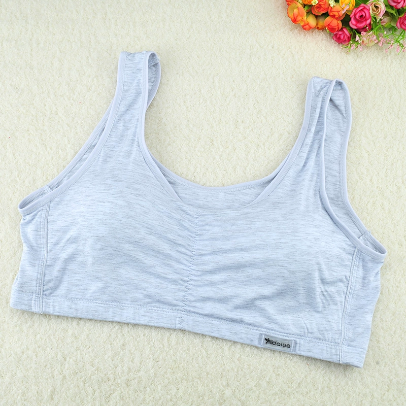 Cô gái béo mặc áo ngực cỡ lớn học sinh cộng với phân bón thể thao vest kiểu trung học cơ sở MM áo ngực đơn giản thoáng khí cotton quần lót đùi