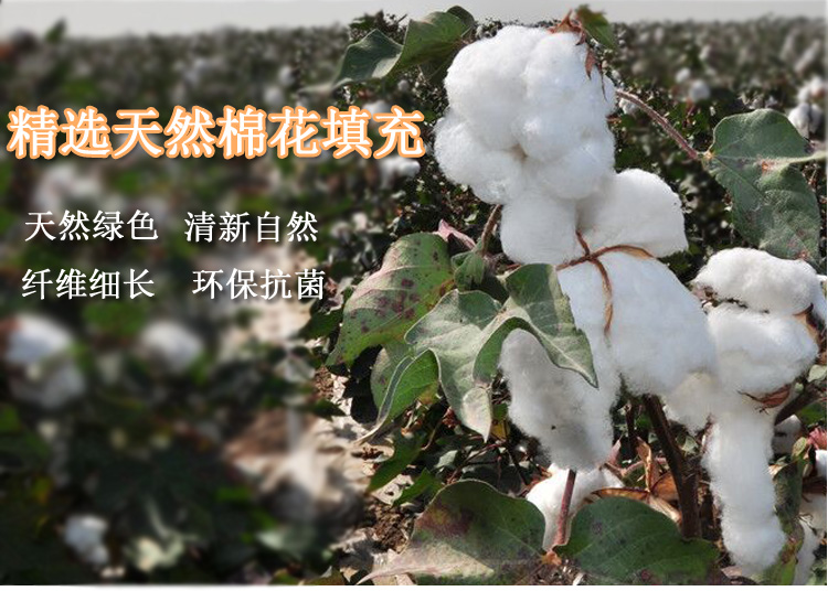 Blouson hiver pour homme - Ref 3112316 Image 11