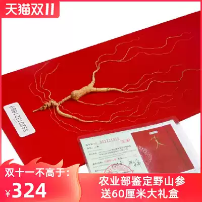 National inspection first-class wild ginseng gift box high-grade fresh wild ginseng dry ginseng Changbai Mountain specialty forest under the mountain ginseng moving powder wine