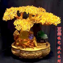 yu bai cai lucky decoration big toad wealth best water wealth creation natural crystal tree zhao cai shu fa cai shu
