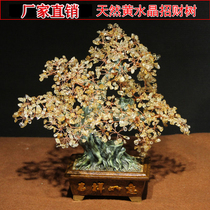 Factory direct sale natural citrine fortune tree living room fortune tree opening gift lucky fortune scattered beads diy