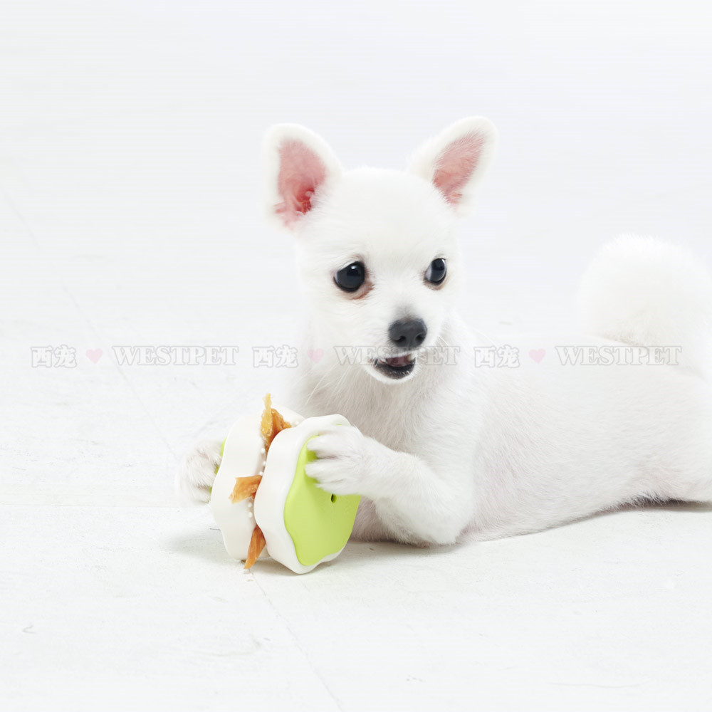 Spot Korea imported Yogipet dog toy food clip music antibacterial 98 7%