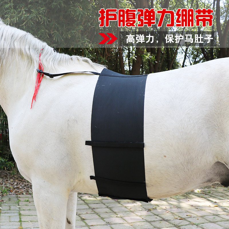 Abdominal elastic bandage Sensitive bandage Abdominal bandage protection horse belly bandage Eight feet dragon harness BCL32452