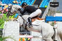 French flex-on horse horse horse horse horse horse horse barrier barrier race horse horse racing horse horse horse racing