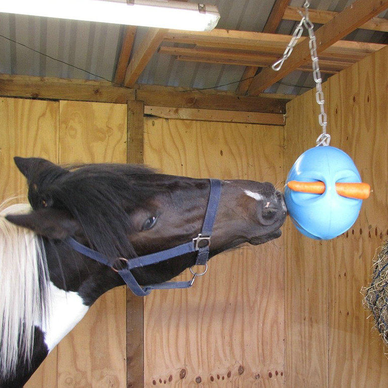 Horse trains rewards toy ball ball with carrot training ball to improve horse flexibility toy training ball