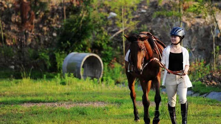 Article sports equestres - Ref 1378199 Image 23