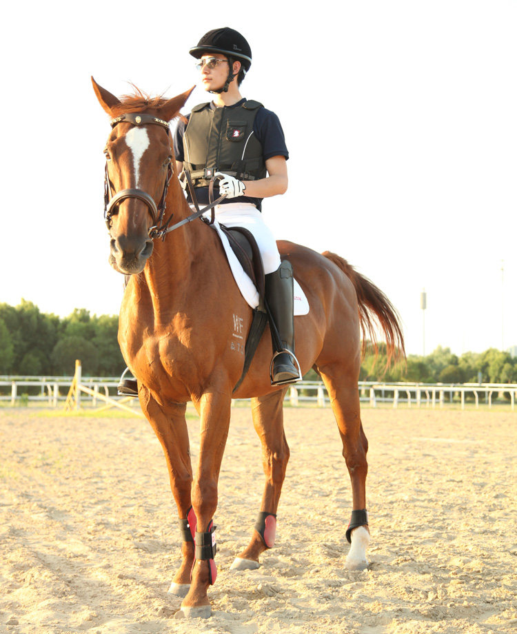 Article équitation pour homme BASLONG - Ref 1381702 Image 33