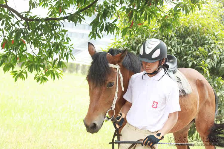 Article sports equestres - Ref 1378192 Image 21