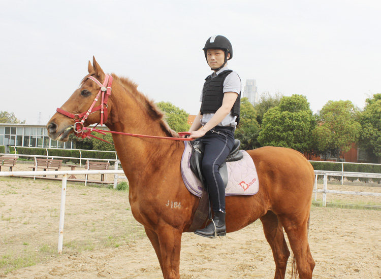 Article équitation - Ref 1381335 Image 17