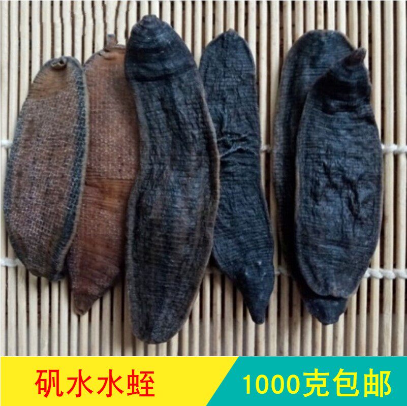 Anguo Chinese herbal medicine market No sulphur wide body leech alum water big leech leech leech 250 gr