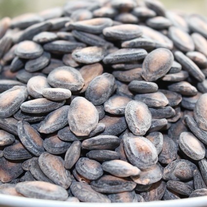 Cream Taste Sigua Seeds Five Fragrant size sunflower seed Pendant Black Melon Seeds water cooking pretzels Salt sweet bulk fried stock 500g