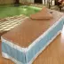 [Special] mỗi ngày giường đẹp giường massage ghế massage lụa băng mat mat thẩm mỹ viện cung cấp phụ trợ miễn phí vận chuyển - Thảm mùa hè nệm nước Thảm mùa hè